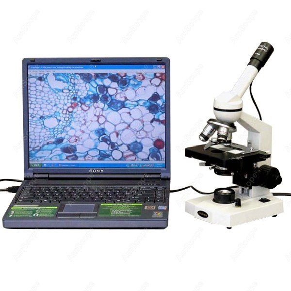 Microscope Compound 40X - AmScope M600シリーズ 学生用単眼複合顕微鏡 40X-2000X+ メカニカルステージと1MPデジタルカメラ