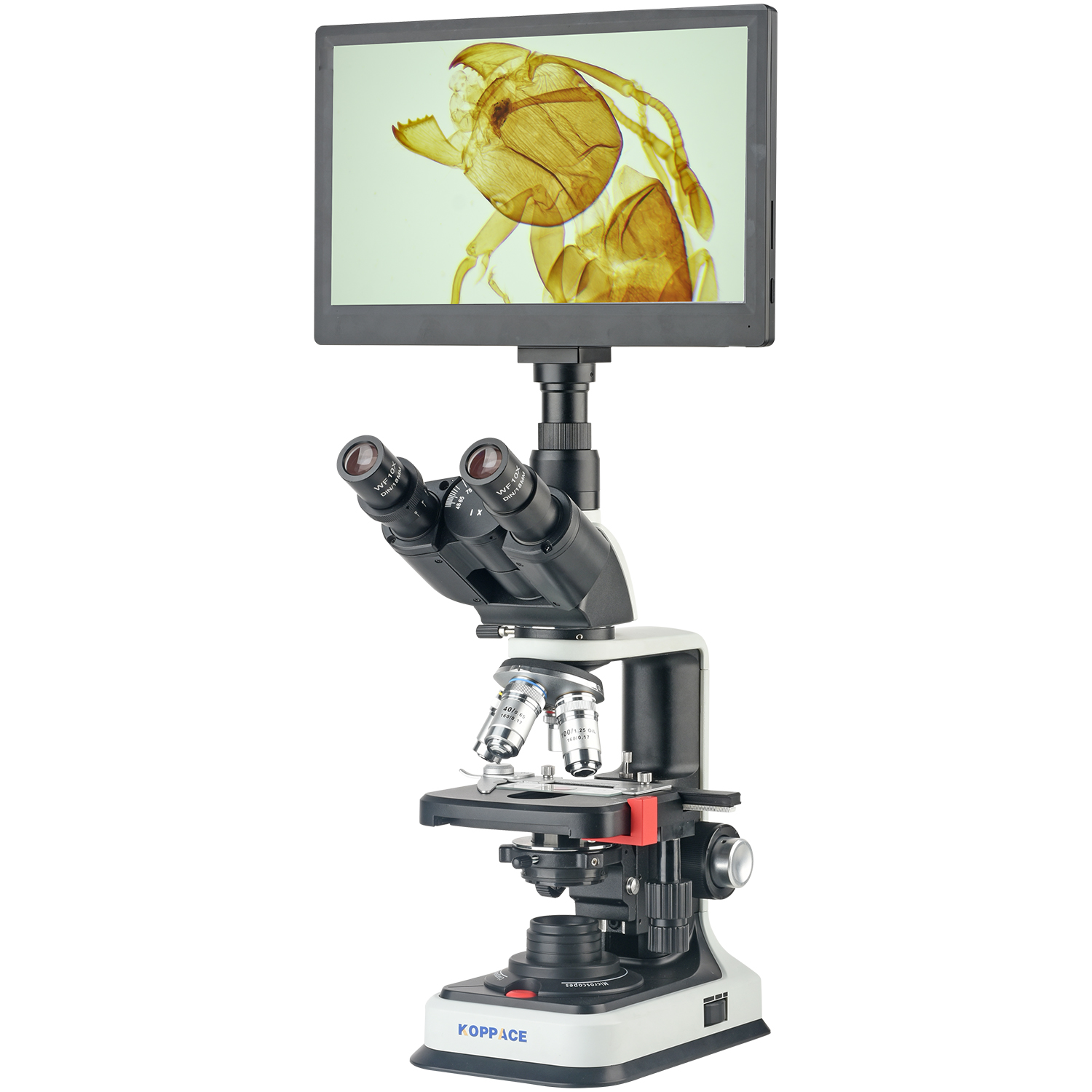 Microscope Compound 40X - KOPPACE 40X-2500X 電子複合実験用顕微鏡 200万画素 11.6インチHDディスプレイ