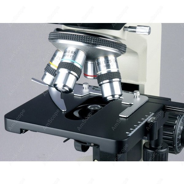 AmScope 生物学用双眼複合顕微鏡 40X 2000X  - Microscope Compound 40X のレビューと価格