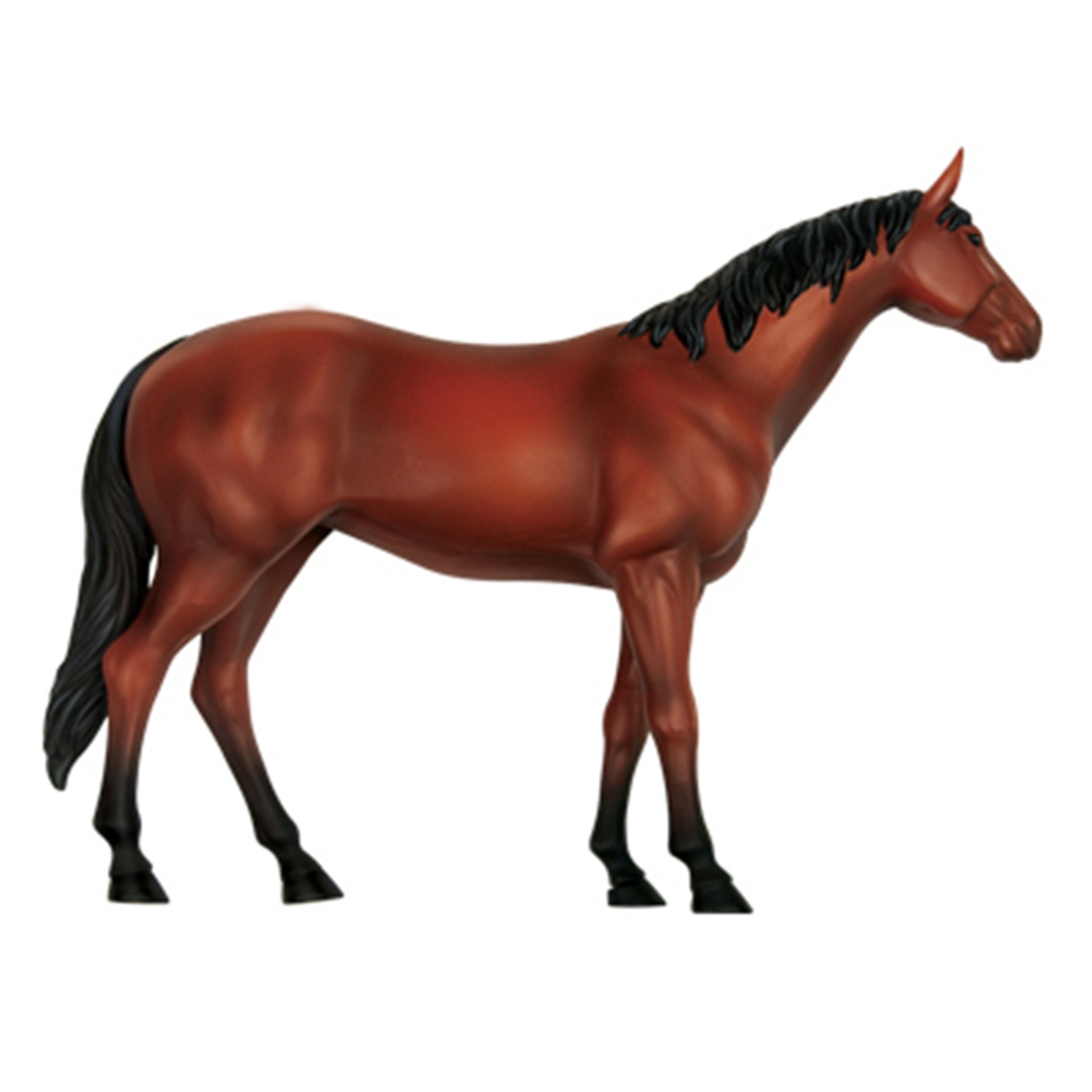 動物の解剖学モデル,乗馬玩具,教育玩具,人気の科学機器 - Science Toys Diy のレビューと価格