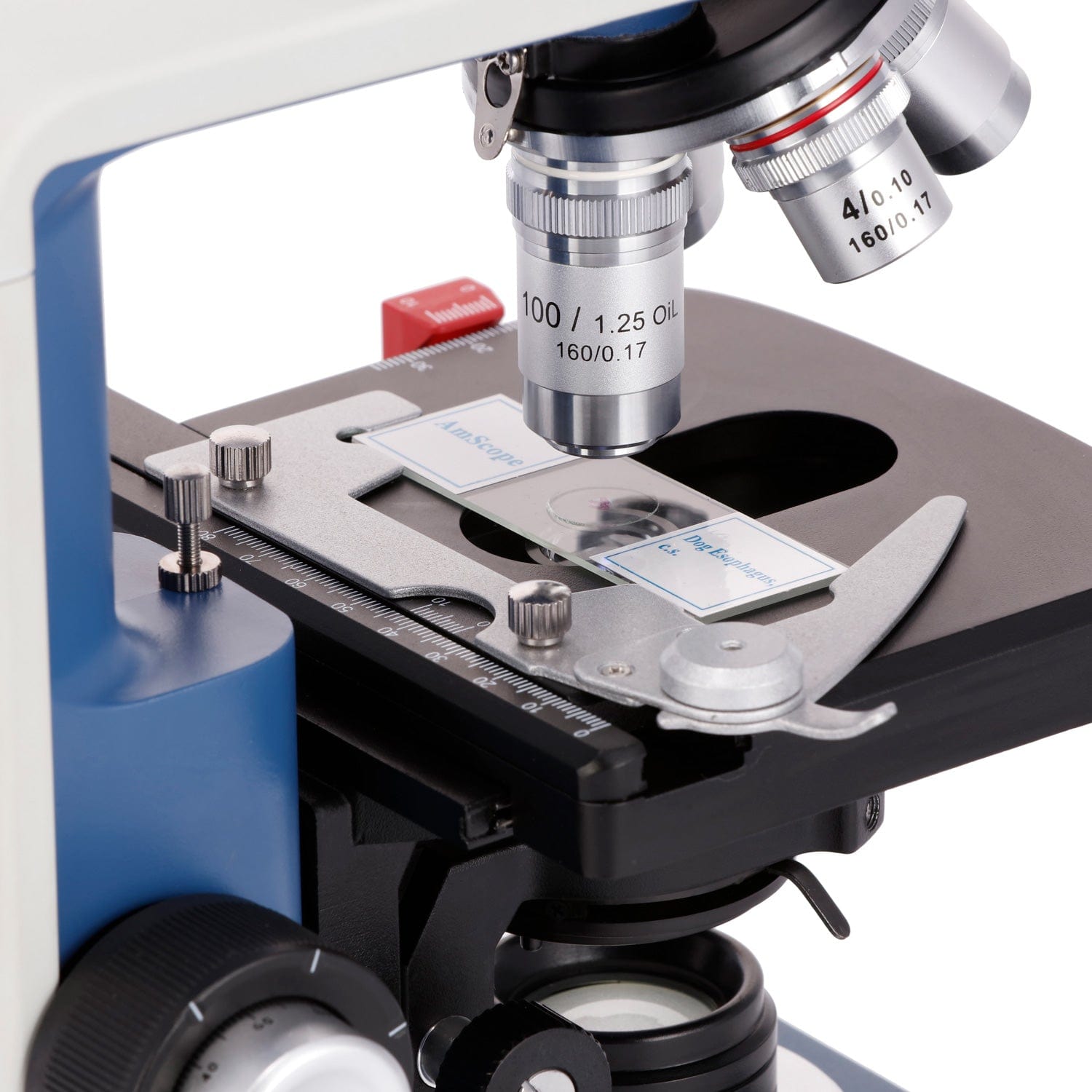AmScope 40X-2500X倍率 学生用双眼複合顕微鏡 - Microscope Compound 40X のレビューと価格