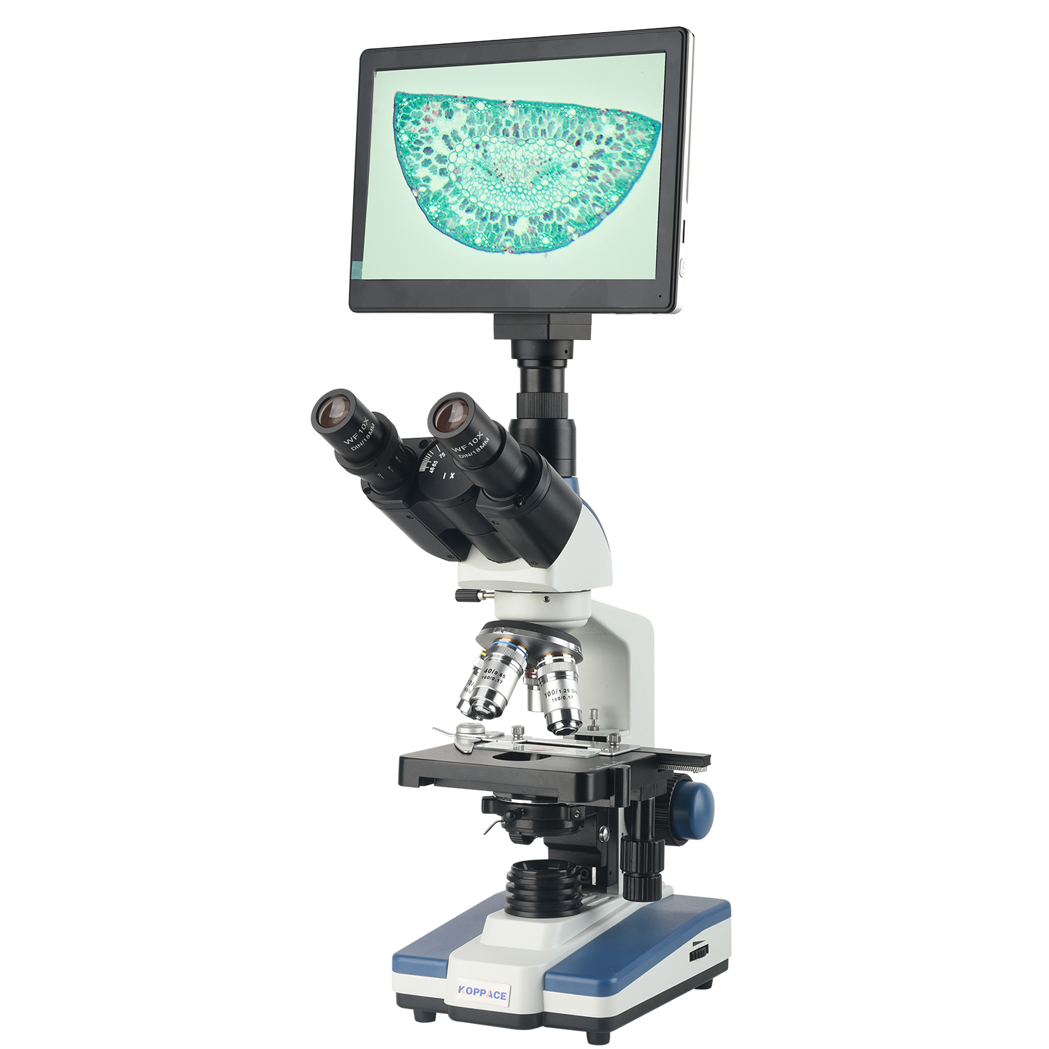 KOPPACE 40X-2500X 電子複合実体顕微鏡 20 - Microscope Compound 40X のレビューと価格