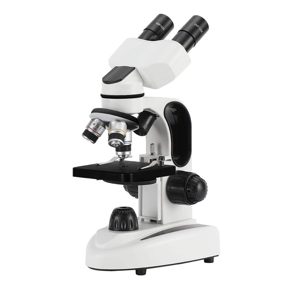40倍から1000倍の倍率を持つ複合双眼顕微鏡、デュアルLE - Microscope Compound 40X のレビューと価格