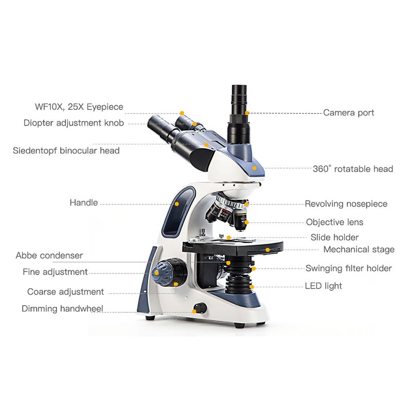 SWIFT SW380T 複合三眼顕微鏡、40倍～2500倍 - Microscope Compound 40X のレビューと価格