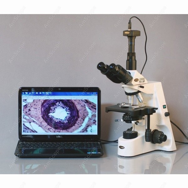 AmScope 40X-2500X インフィニティコーラー生 - Microscope Compound 40X のレビューと価格