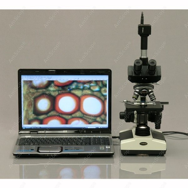 AmScope T390シリーズ生物用三眼複合顕微鏡 40倍 - Microscope Compound 40X のレビューと価格